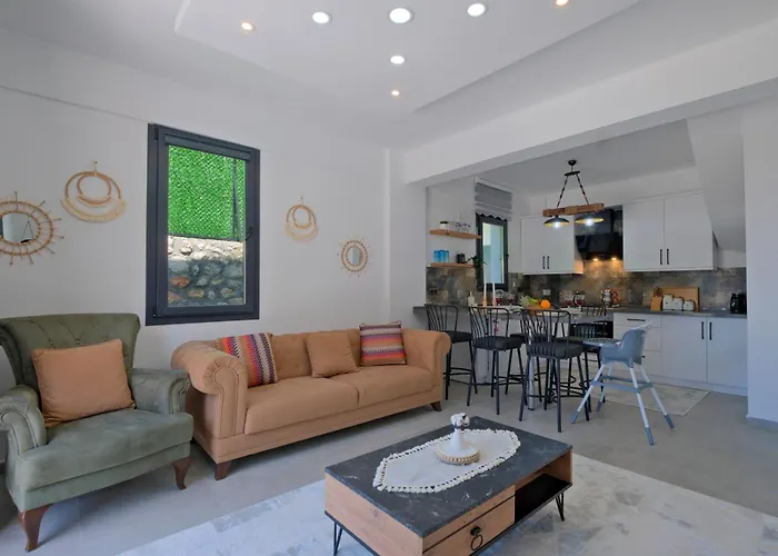 ヴィラ Montana 2 フェティエ